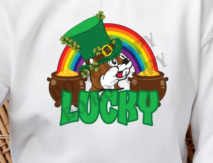 Lucky Beaver, Texas Beaver, Beaver, Pot Of Gold, Rainbow, Lucky, St. Patty's Day DTF Transfer
