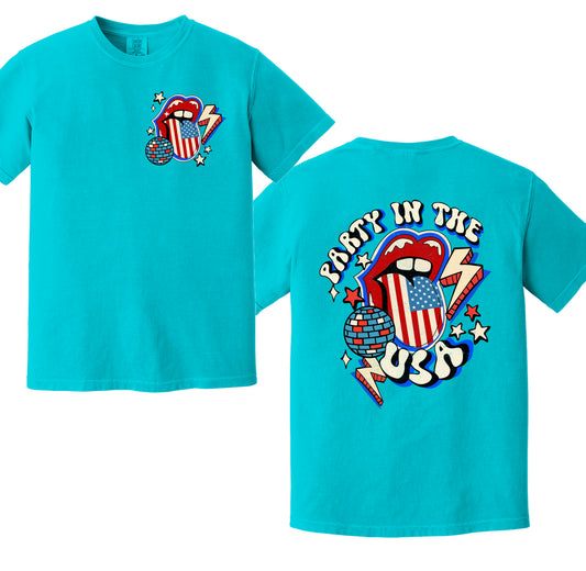 Party In the USA Retro, Vintage 4th of July, 4th of July DTF Transfers