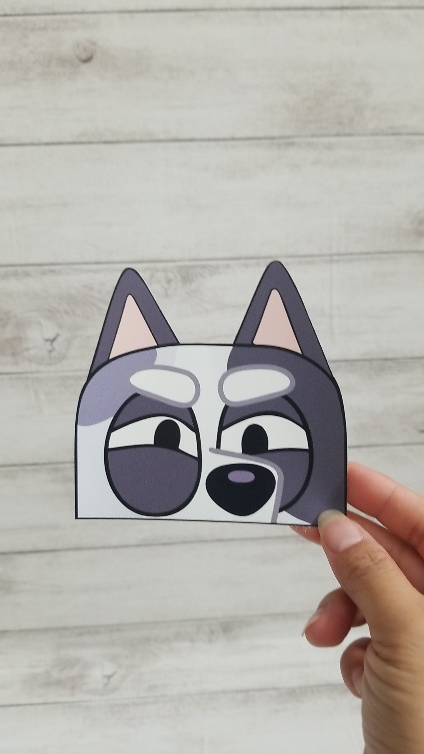 Window Peeking Decals