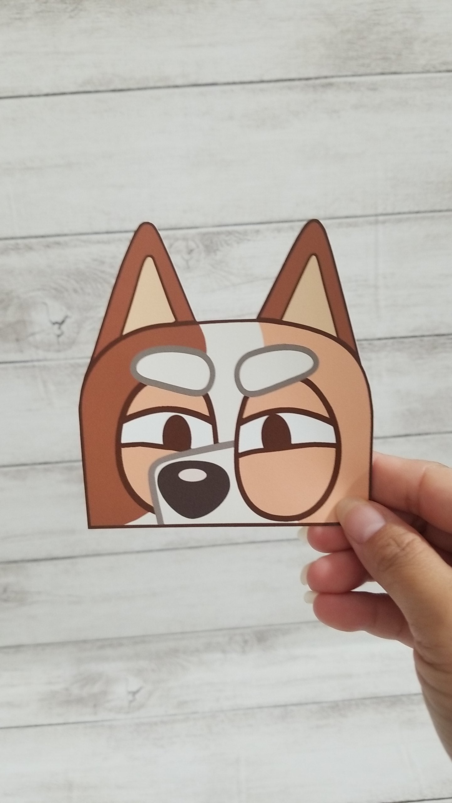 Window Peeking Decals