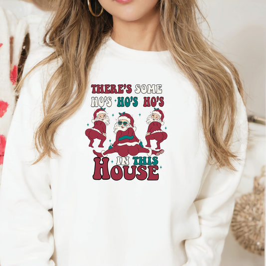 There is Some Ho Ho's In This House DTF Transfer